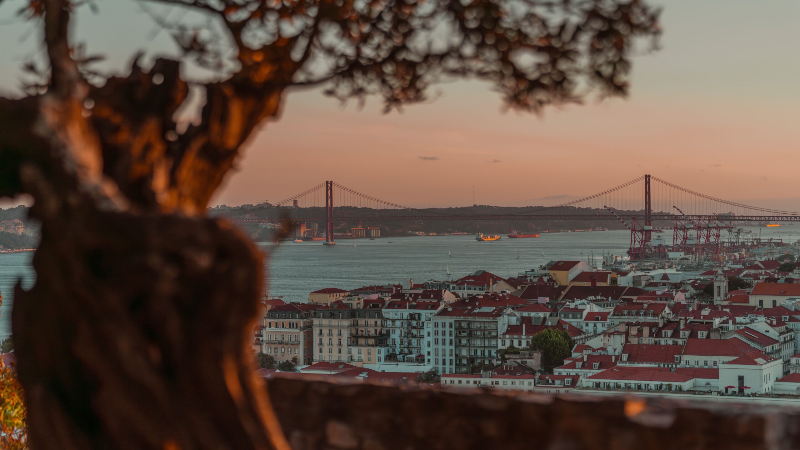 pexels-thorl5-2154653228-33659330 Lissabon